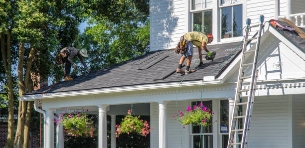 Roof Gutter Cleaning in Mammoth, AZ